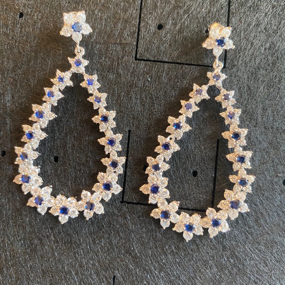 Exquisite Earring - Picture 1 of 2